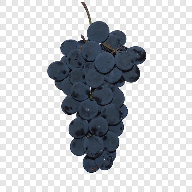 Fruits de raisin transparents