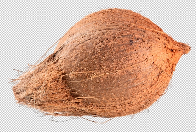 PSD fruta de coco seca con fondo transparente png