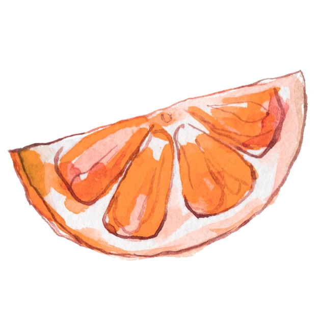 Fruta laranja pintada em aquarela elementos de design de alimentos frescos desenhados à mão isolados no fundo branco