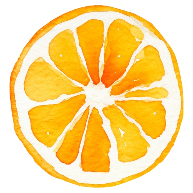 Fruta naranja pintada en acuarela elemento de diseño de alimentos frescos dibujados a mano aislados sobre fondo blanco