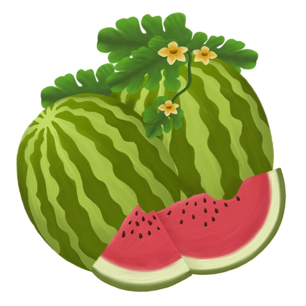 Fruta de sandía