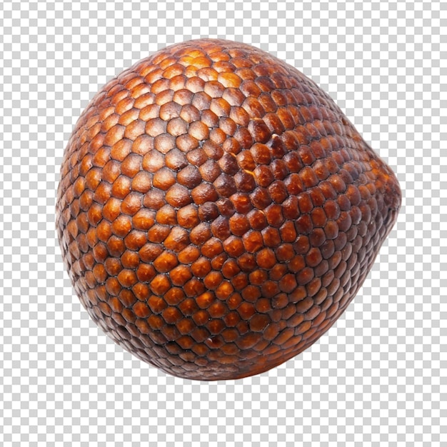 Fruta de serpiente aislada sobre un fondo transparente