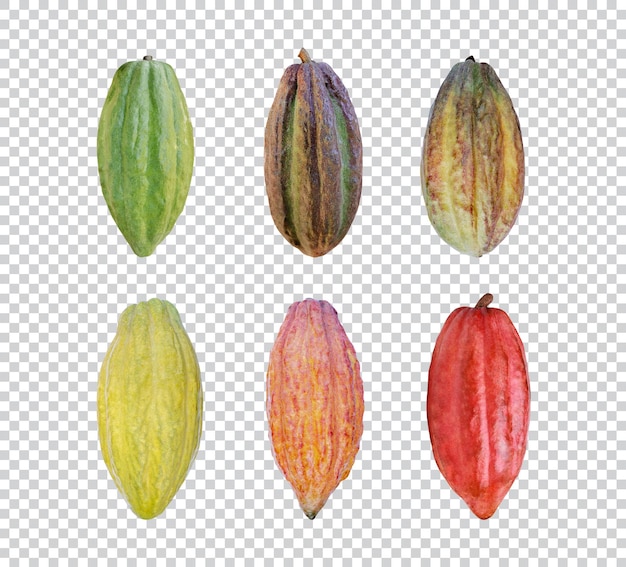 Frutas de cacao frescas aisladas de PSD Premium