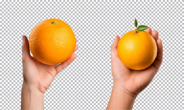 PSD frutas de laranja isoladas em um fundo transparente