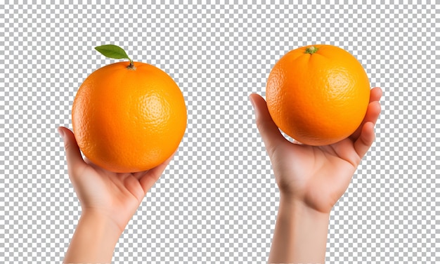 PSD frutas de laranja isoladas em um fundo transparente