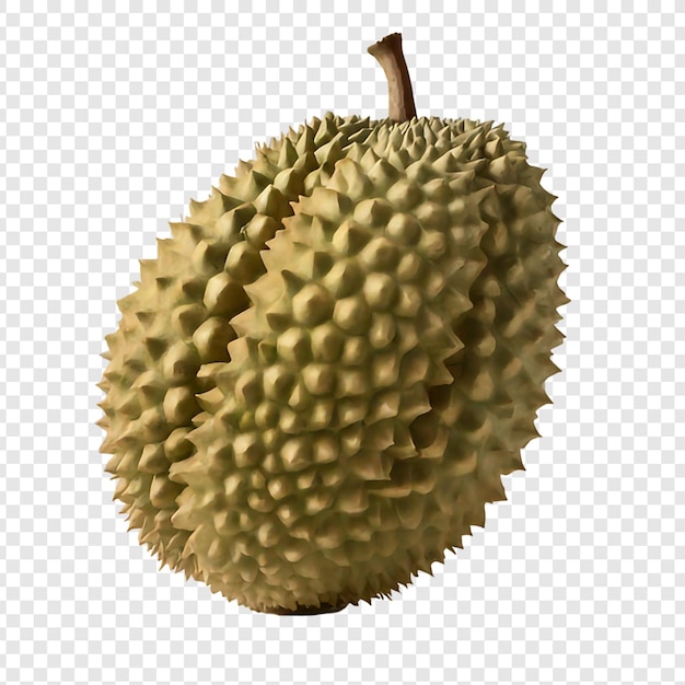 PSD frutas frescas de durian isoladas em fundo transparente psd premium