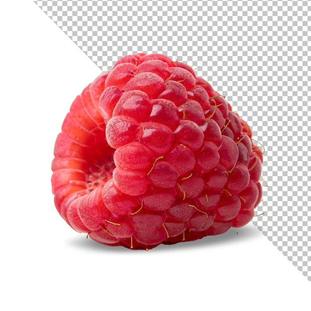 frutas frescas de framboesa isoladas na superfície branca png fundo transparente