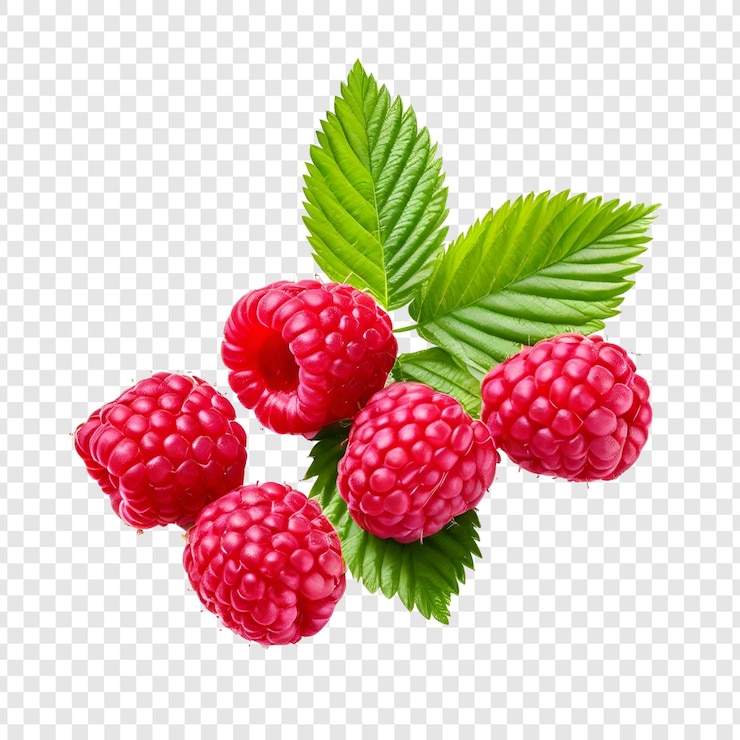PSD frutas frescas frambuesas rojas bayas suciosas de verano frutas saludables bocadillo aislado en transparente