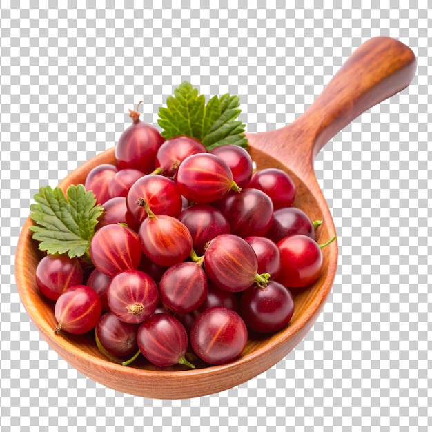 Frutas de grosella espinosa aisladas