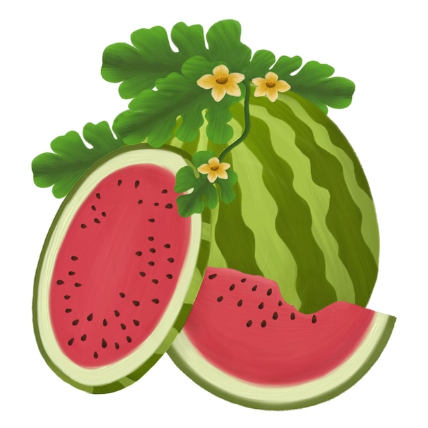Frutas de la sandía