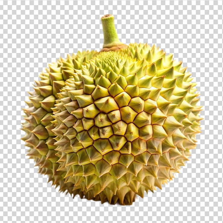 PSD frutas tropicales de durian aisladas sobre un fondo transparente