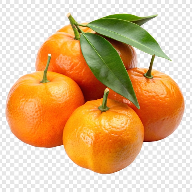 Fruto de clementina isolado sobre um fundo transparente