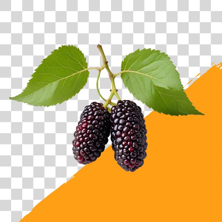 PSD fruto de morango png isolado premium psd fundo transparente