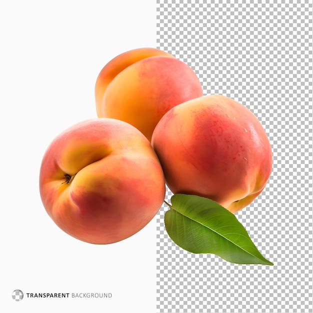 Fruto de pêssego isolado sobre fundo transparente