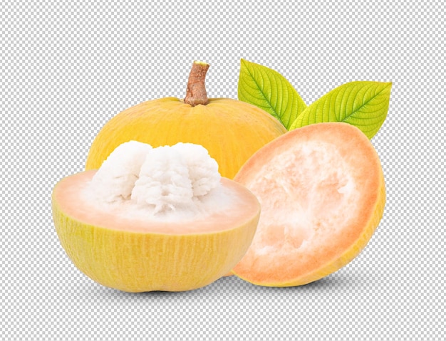 Fruto de Santol na camada de alfa