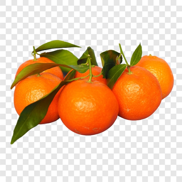 Fruto de tangerina alimentício transparente