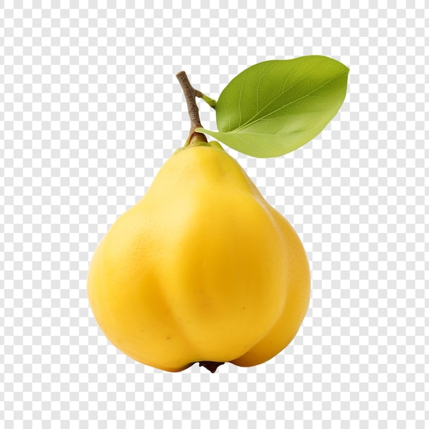 Fruto de quince aislado sobre un fondo transparente