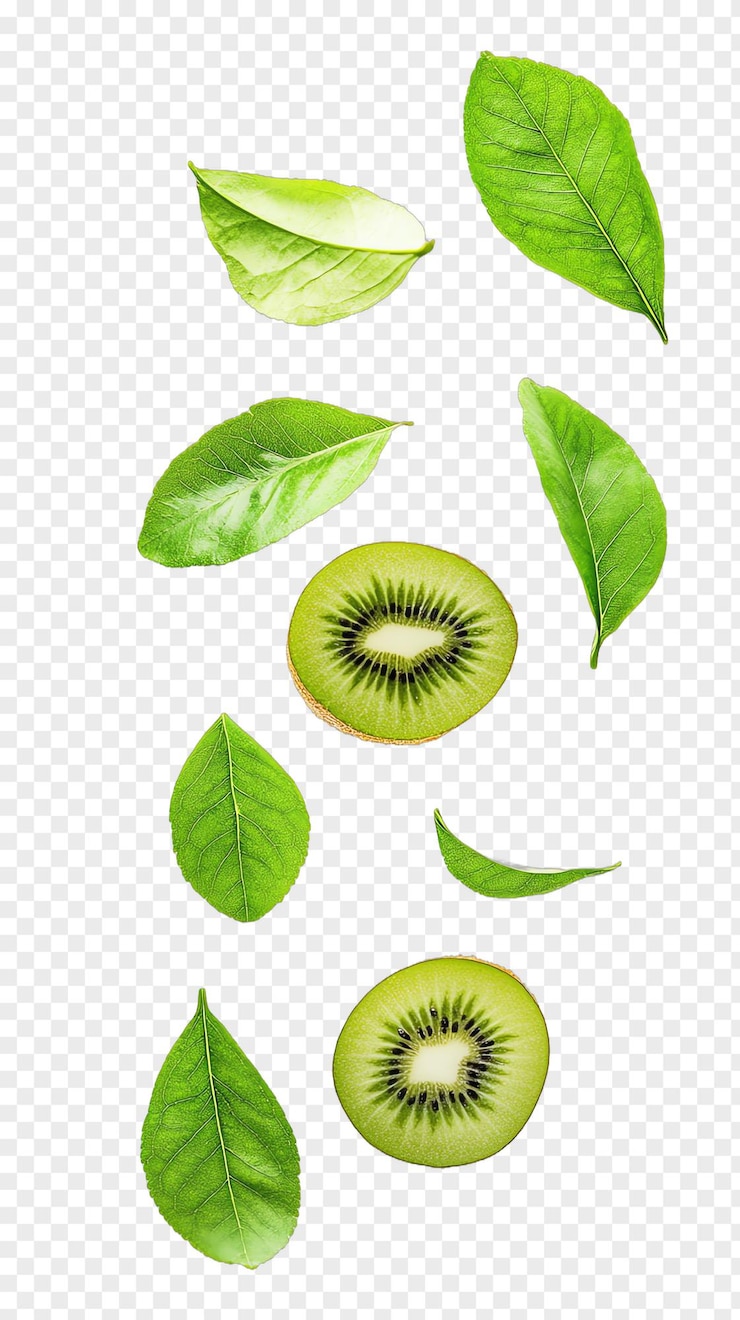 PSD fruto realista del kiwi