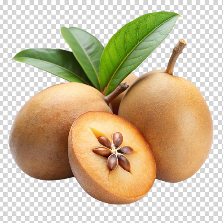 PSD fruto de la sapodilla aislado sobre un fondo transparente