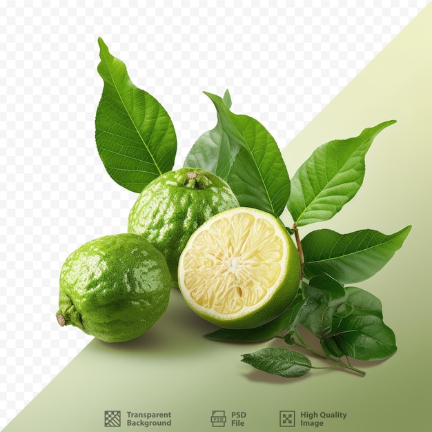 Frutos maduros de bergamota e folhas verdes em fundo transparente