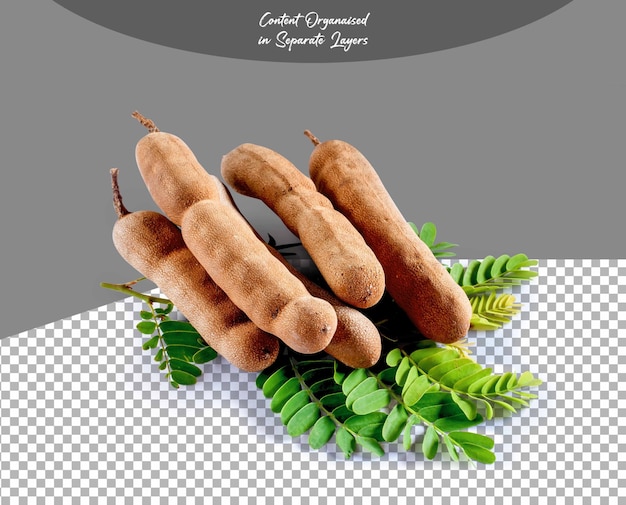 Frutta del tamarindo con foglie verdi isolate su sfondo trasparente