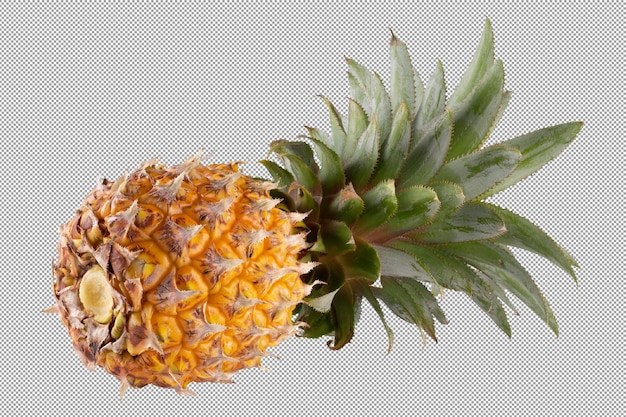 Frutti interi di ananas con corone verdi spinose e buccia dorata isolati su uno sfondo trasparente