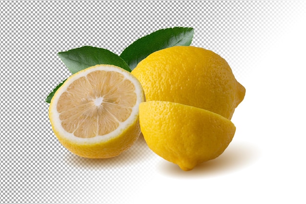 Frutto di limone isolato