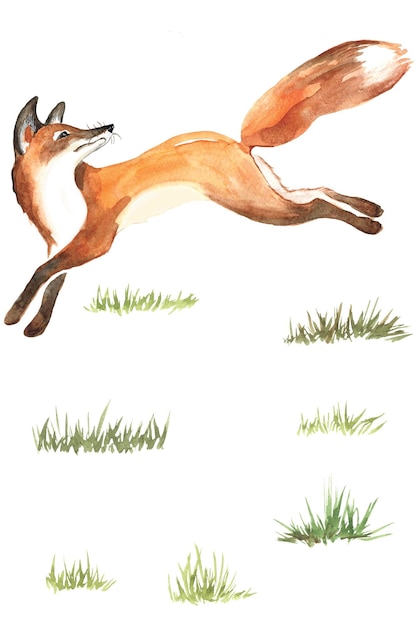 Fuchs im Wald