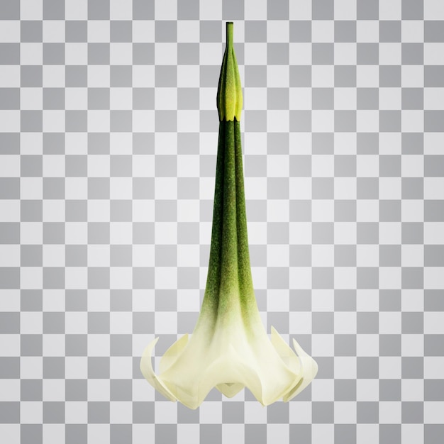 PSD fundo alfa de flor de cabide 3d