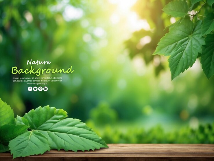 PSD fundo da natureza
