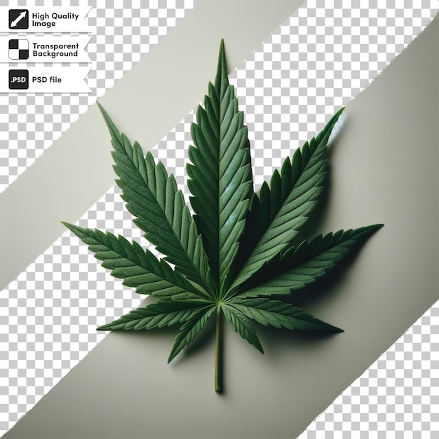 PSD fundo de folha de maconha psd em fundo transparente com camada de máscara editável