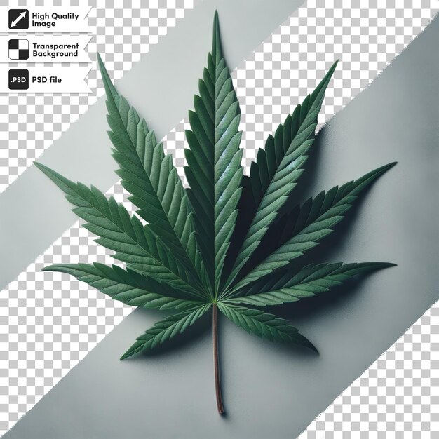 PSD fundo de folha de maconha psd em fundo transparente com camada de máscara editável