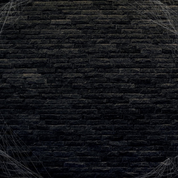 Fundo de teia de aranha