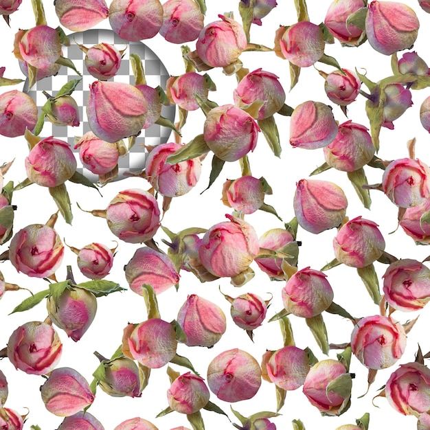 Fundo sem costura rosas secas Isolamento sobre um fundo transparente