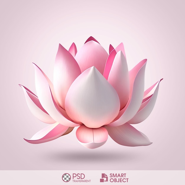 Fundo transparente da flor de lótus do PSD