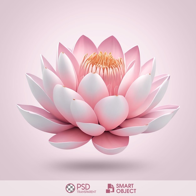 Fundo transparente da flor de lótus do PSD