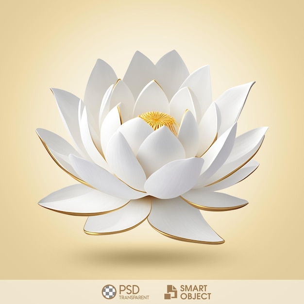 Fundo transparente da flor de lótus do PSD