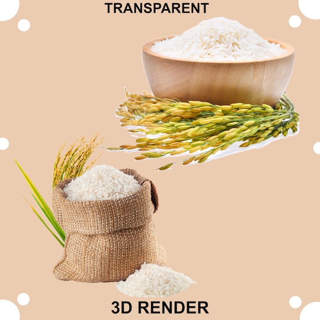 Fundo transparente de arroz branco