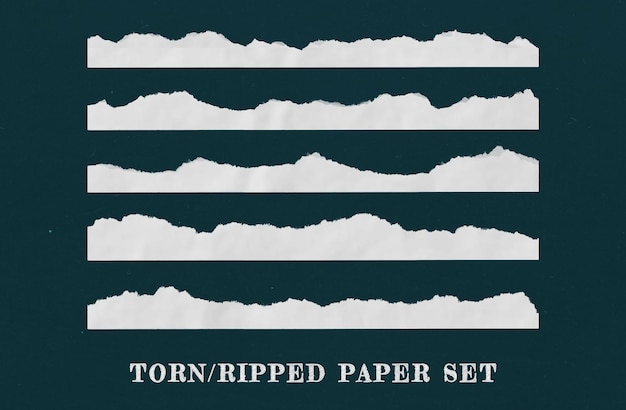 Fundo transparente de papel rasgado realista