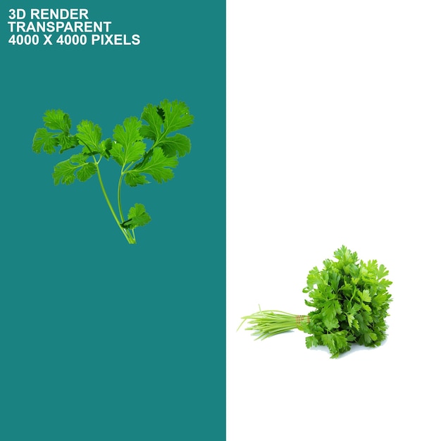 Fundo transparente de vegetais saudáveis