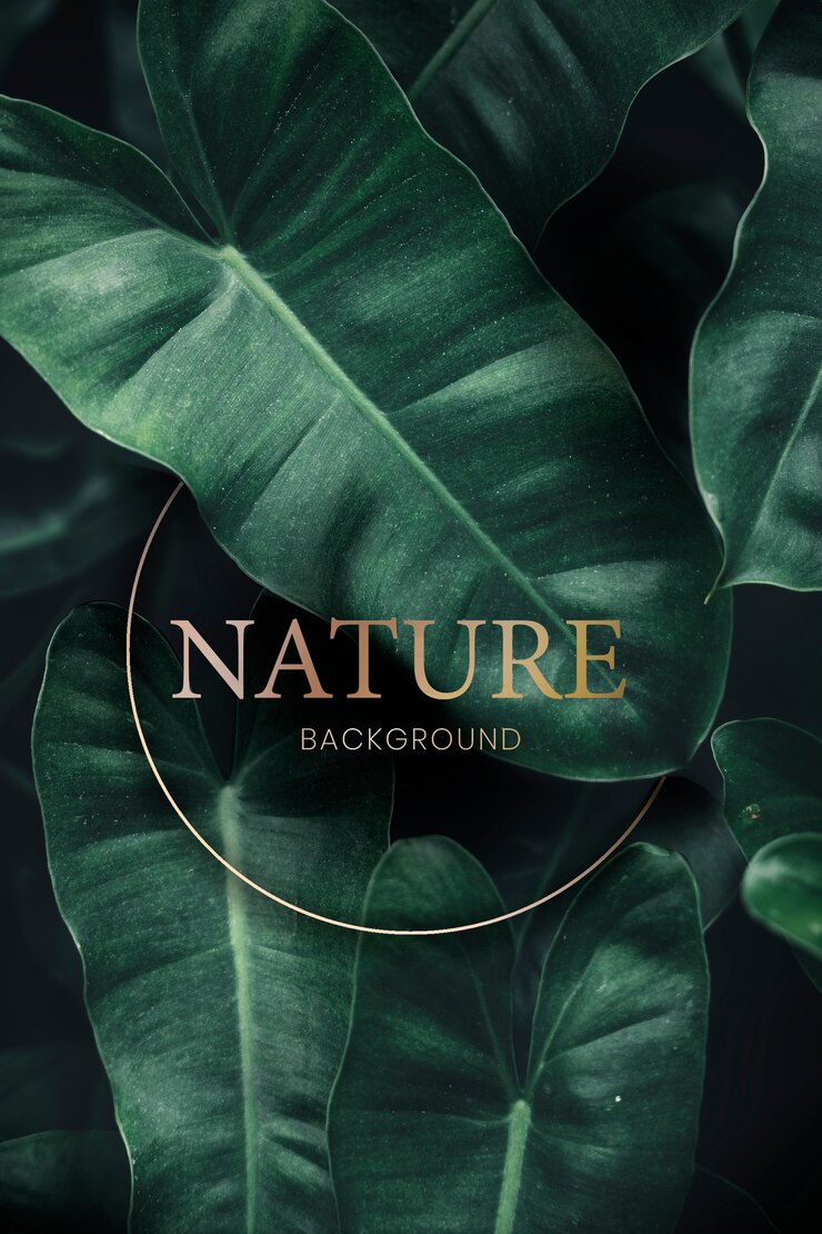 PSD fundo tropical verde