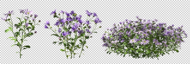 PSD fundos de recorte de arbustos de flores violetas renderização em 3d