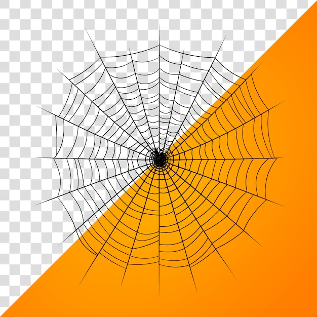 fundos de teia de aranha PNG fundo branco concêntrico