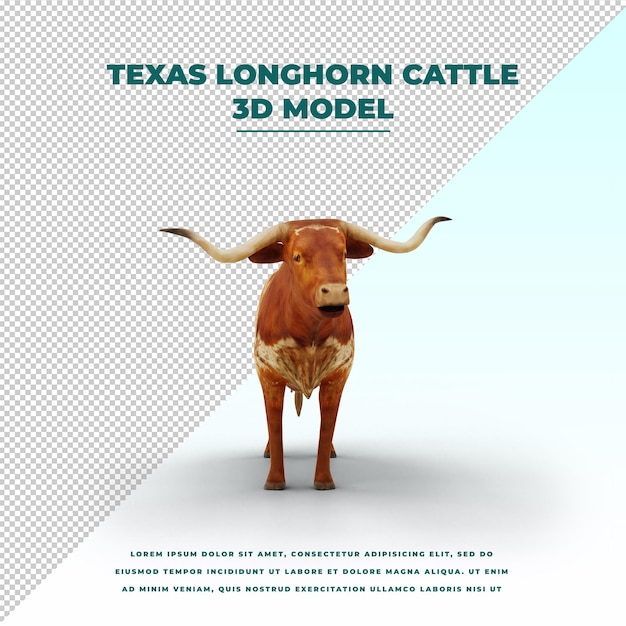 PSD gado texas longhorn isolado