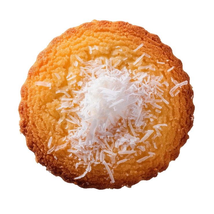 PSD galleta de coco con escamas en la parte superior