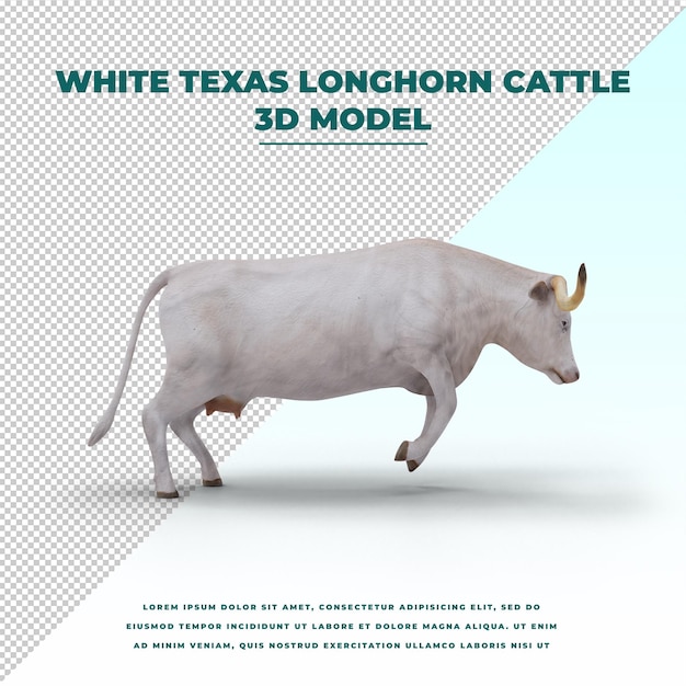 PSD ganado blanco de texas longhorn aislado