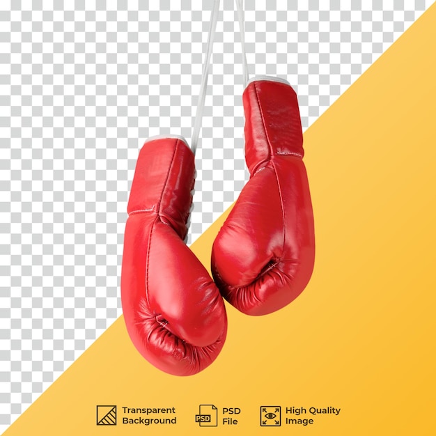Gants de boxe