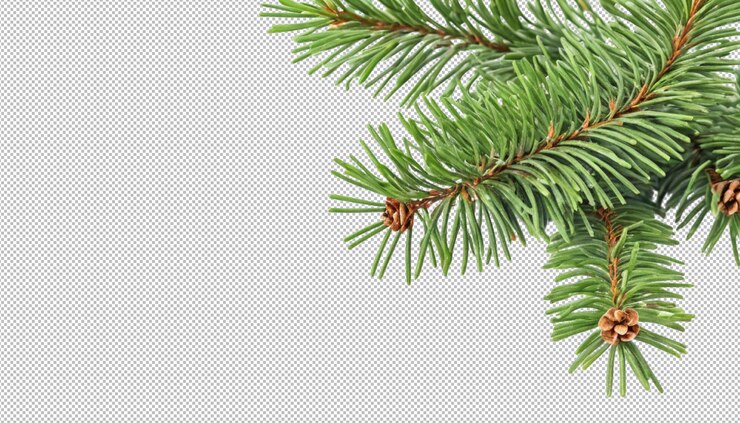 PSD garlandas de ramas de abeto de navidad