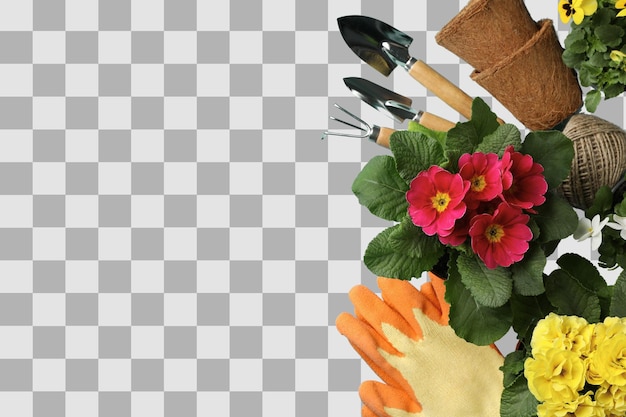 Gartenarbeit Farbige Blumen und Gartenwerkzeuge, die in einem ordentlichen Layout für Gartenarbeitsaktivitäten angeordnet sind, isoliert auf weißem PNG