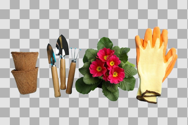 Gartenwerkzeuge Handschuhe Töpfe und Blumen sind für Ihre Gartenarbeiten organisiert, isoliert auf weißem PNG